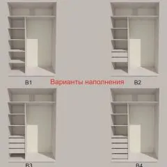 Шкаф-купе 1700 серии SILVER S5+S5+B2+PL3 (2 ящика+2 штанги) профиль «Серебро» | фото 5