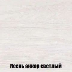 Шкаф 2-х створчатый МСП-1 (Ясень Анкор светлый) | фото 4