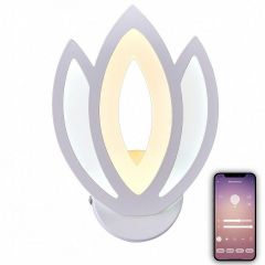 Бра Natali Kovaltseva LED LAMPS 81124 LED LAMPS 81124/1W | фото 4