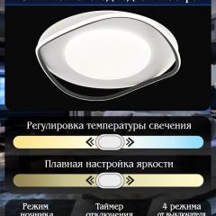Накладной светильник Natali Kovaltseva  INNOVATION STYLE 83141 | фото 7