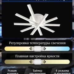 Потолочная люстра Natali Kovaltseva Line LED LAMPS 81171 | фото 8