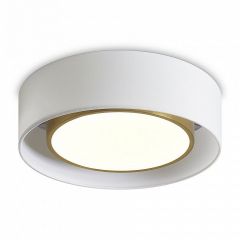 Накладной светильник Freya Cozy FR6170CL-L52BS | фото 2