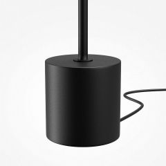 Торшер Maytoni Evolution MOD396FL-L10W3K | фото 6