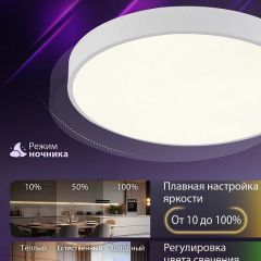 Накладной светильник Natali Kovaltseva  LED LAMPS 81111/5C | фото 6