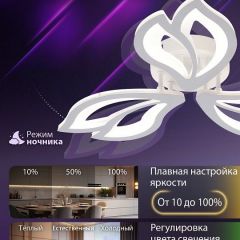 Потолочная люстра Natali Kovaltseva FORTUNA LED LAMPS 81107/2C | фото 5
