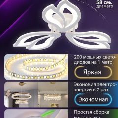 Потолочная люстра Natali Kovaltseva FORTUNA LED LAMPS 81107/2C | фото 6