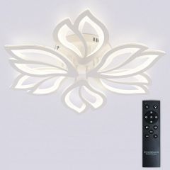 Потолочная люстра Natali Kovaltseva FORTUNA LED LAMPS 81107/6C | фото 3