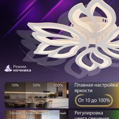 Потолочная люстра Natali Kovaltseva FORTUNA LED LAMPS 81107/6C | фото 6