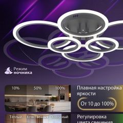 Потолочная люстра Natali Kovaltseva HOME LED LAMPS 81440 | фото 6
