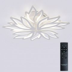 Потолочная люстра Natali Kovaltseva RIF LED LAMPS 81118/6C | фото 3