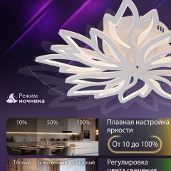 Потолочная люстра Natali Kovaltseva RIF LED LAMPS 81118/6C | фото 6